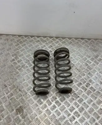 Rear coil spring