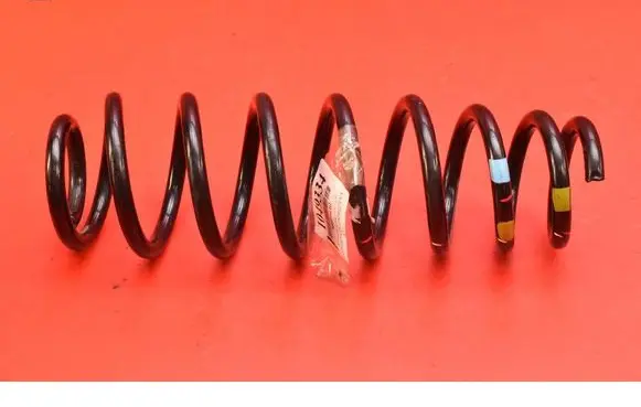 Hyundai Kona I Rear coil spring 