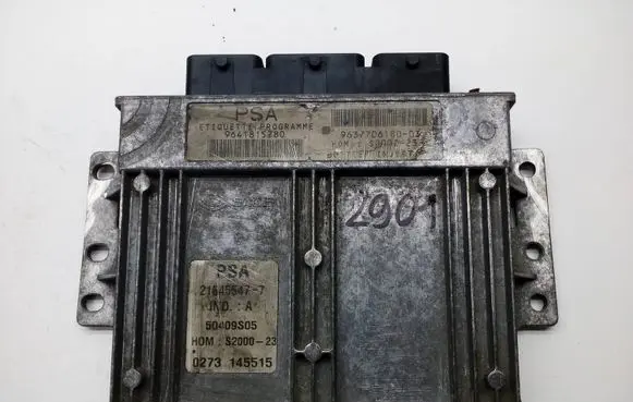 Peugeot 206 Engine control unit/module 9641815780