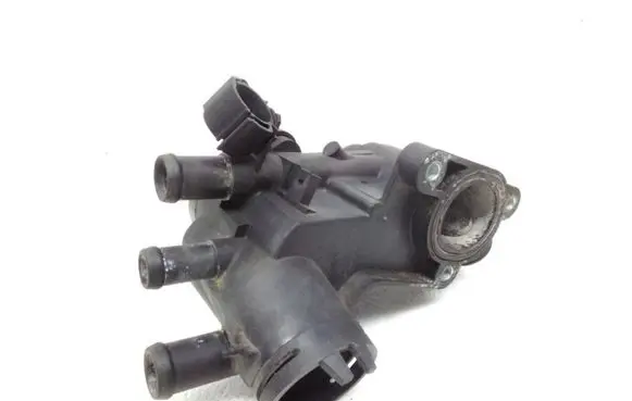 Thermostat/thermostat housing