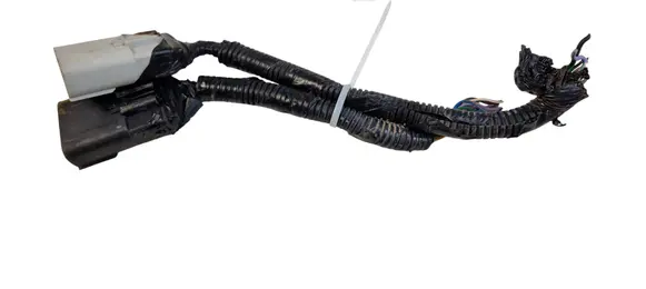 Ford Edge II Other wiring loom