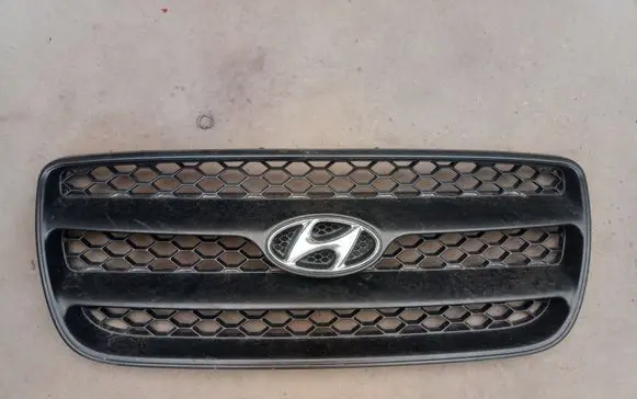Hyundai Santa Fe Front bumper upper radiator grill