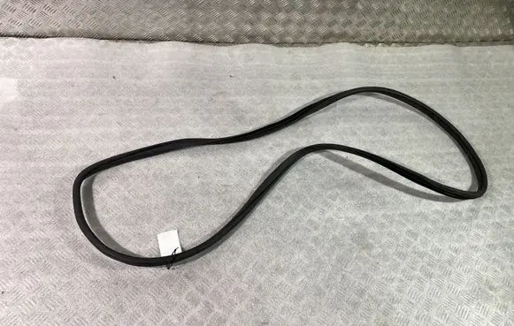 Hyundai Kona I Front door rubber seal 