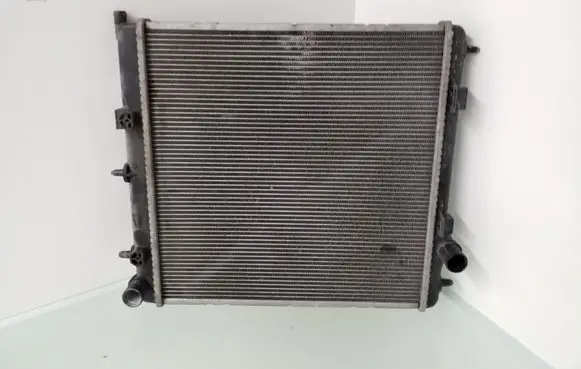 Peugeot 1007 Coolant radiator 870960400 9653026580 87096000095007T01