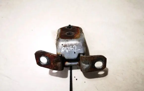 Rear door lower hinge