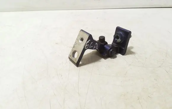Rear door lower hinge