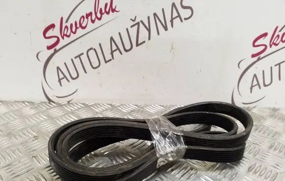 Porsche Cayenne (92A) Alternator belt 