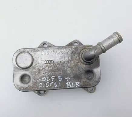 Volkswagen Golf Plus Oil filter mounting bracket 06D117021C