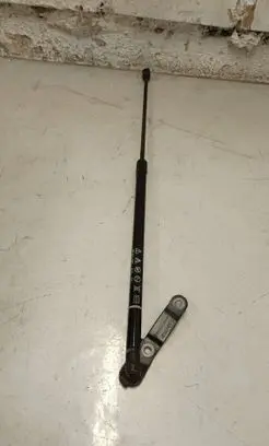 Tailgate/trunk strut/damper