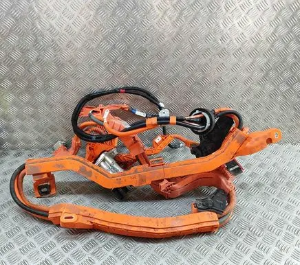 Lexus NX Other wiring loom 8216578020