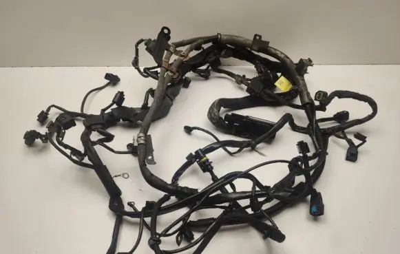 Mercedes-Benz CLS C219 Engine installation wiring loom a6421500656