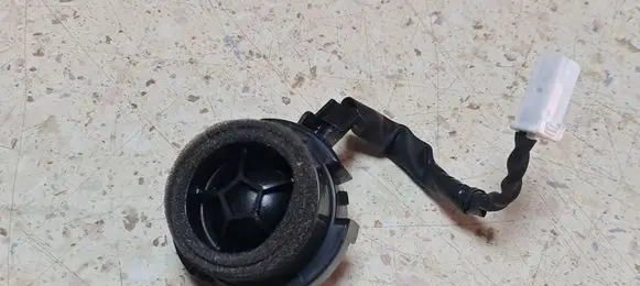 Front door high frequency speaker