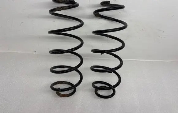 Rear coil spring