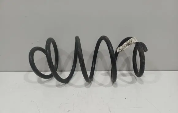 BMW X3 F25 Front coil spring 6787136