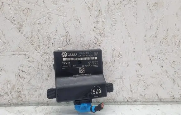 Volkswagen PASSAT B6 Gateway control module 3C0907530C