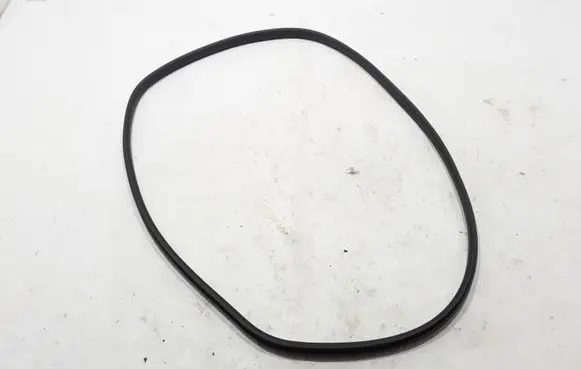 Renault Captur II Front door rubber seal 808328533R