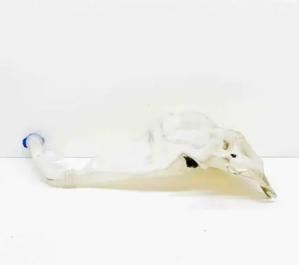 Tesla Model S Windshield washer fluid reservoir/tank 100540000B