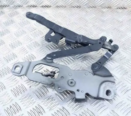 BMW 7 F01 F02 F03 F04 Engine bonnet/hood hinges 7250805