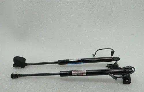 Chevrolet Corvette C6 Tailgate/trunk strut/damper 10380000