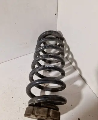Rear coil spring