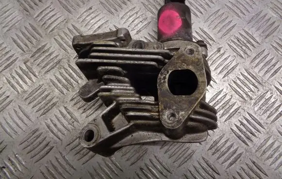 Renault Scenic I EGR valve 70007501