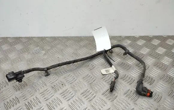 Hyundai Santa Fe Other wiring loom 478913B520