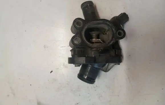 Thermostat/thermostat housing