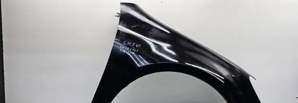 Volkswagen Golf VI Fender