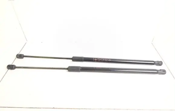 Nissan Leaf II (ZE1) Front bonnet/hood damper/strut 904505SH0C 904515SH0C