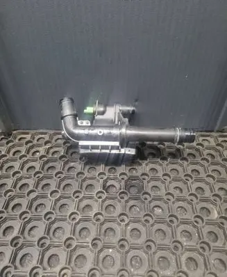 Thermostat/thermostat housing