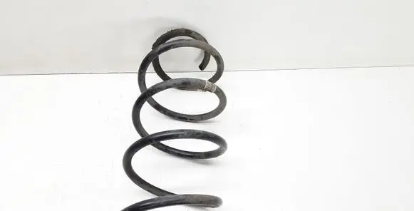 Front coil spring