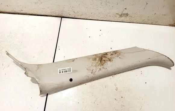 (C) pillar trim