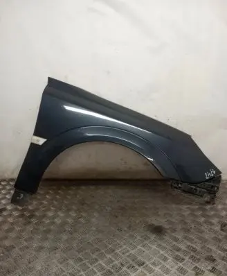 Opel Signum Fender