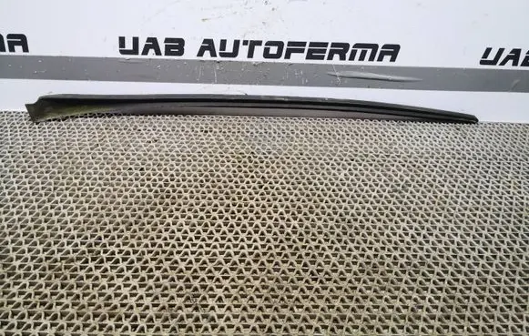 Seat Ibiza IV (6J,6P) Front door glass trim molding 6J0854320