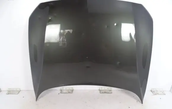 Engine bonnet/hood