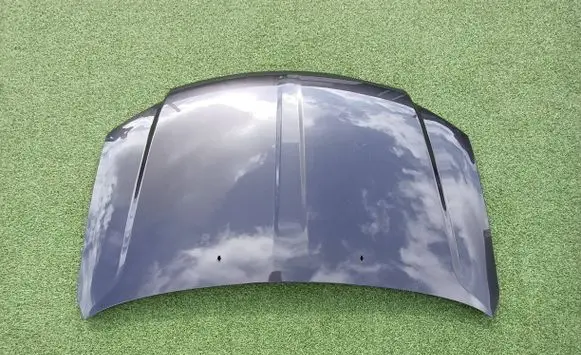 Chrysler Voyager Engine bonnet/hood 875V1313