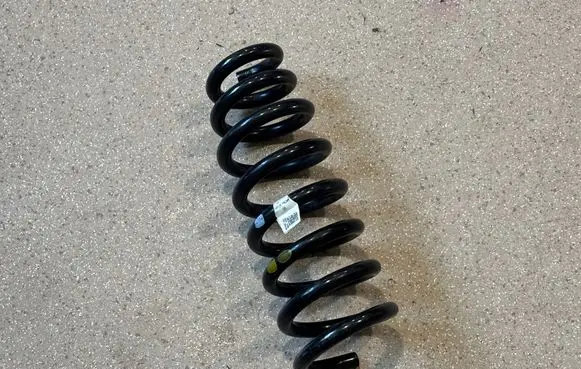 Rear coil spring