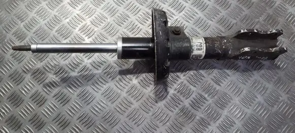 Opel Astra G Front shock absorber/damper 024408589 043813