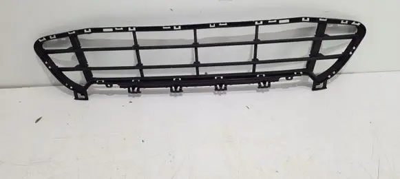 BMW X1 F48 F49 Front bumper lower grill 7954220