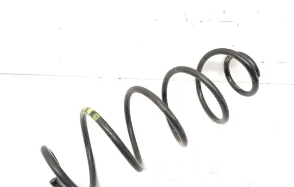 Rear coil spring
