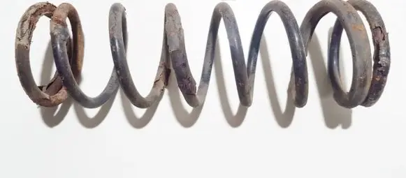 Ford Focus Rear coil spring