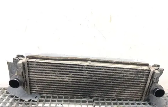 Volkswagen Crafter Intercooler radiator A9067600161