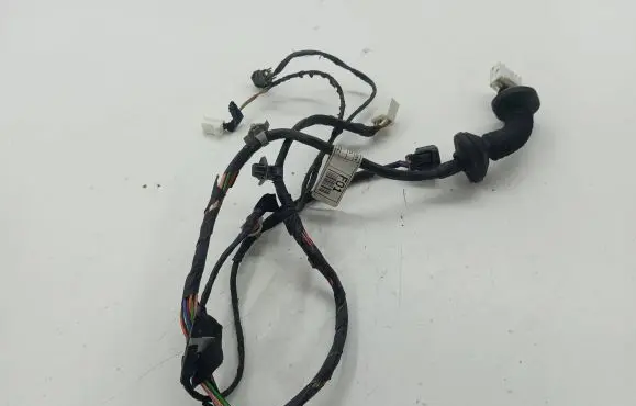 KIA Sportage Rear door wiring loom 9165008219