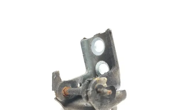 Front door lower hinge