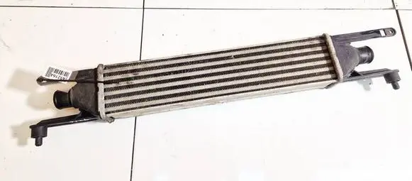 Fiat Punto (188) Intercooler radiator
