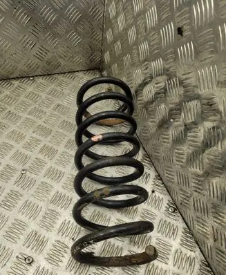 Rear coil spring