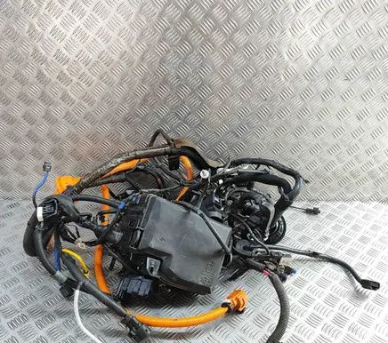 KIA EV6 Other wiring loom 91850CV010 91200CV870