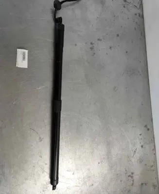 Tailgate strut