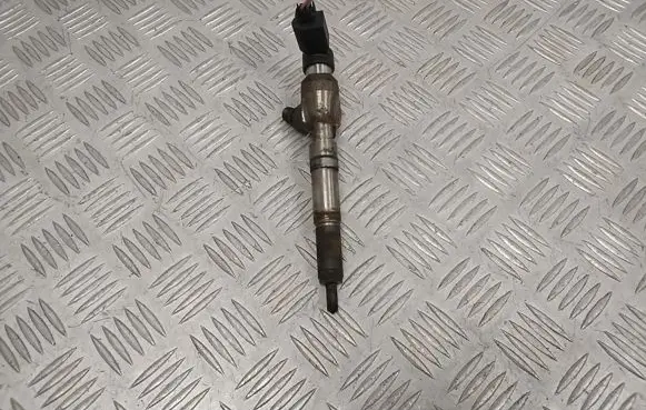 Nissan Qashqai Fuel injector H8200704191