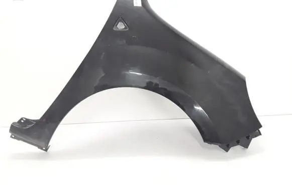 Renault Kangoo II Fender 631002009R